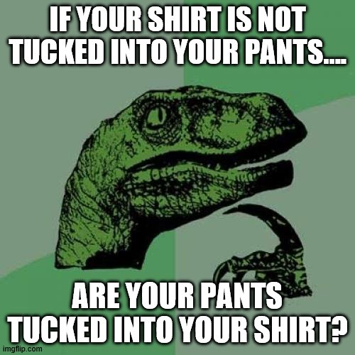 Philosoraptor | IF YOUR SHIRT IS NOT TUCKED INTO YOUR PANTS.... ARE YOUR PANTS TUCKED INTO YOUR SHIRT? | image tagged in memes,philosoraptor | made w/ Imgflip meme maker
