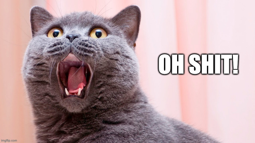 Cat reaction | OH SHIT! | image tagged in cat expression | made w/ Imgflip meme maker
