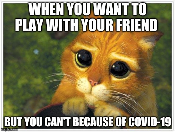 Cute cat | WHEN YOU WANT TO PLAY WITH YOUR FRIEND; BUT YOU CAN'T BECAUSE OF COVID-19 | image tagged in memes,shrek cat | made w/ Imgflip meme maker