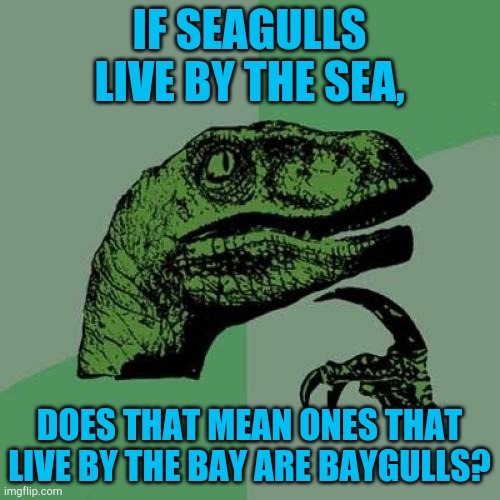 Philosoraptor | IF SEAGULLS LIVE BY THE SEA, DOES THAT MEAN ONES THAT LIVE BY THE BAY ARE BAYGULLS? | image tagged in memes,philosoraptor,seagull,funny,funny meme | made w/ Imgflip meme maker