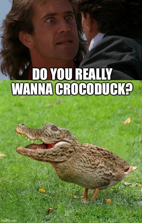 Well Do Ya? | DO YOU REALLY WANNA CROCODUCK? | image tagged in do you wanna,crocoduck | made w/ Imgflip meme maker