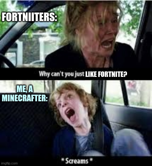 I'm sorry forniters, but I dont approve of you |  FORTNIITERS:; LIKE FORTNITE? ME, A MINECRAFTER: | image tagged in why cant you just be normal,minecraft,anti-fortnite | made w/ Imgflip meme maker