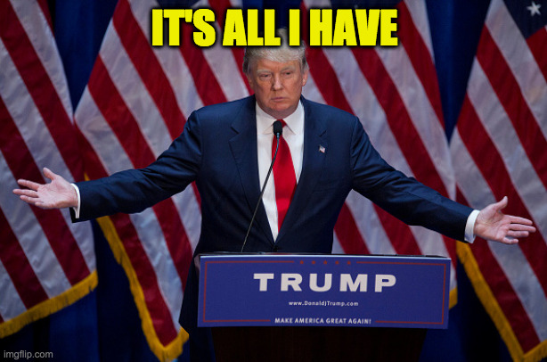 Donald Trump | IT'S ALL I HAVE | image tagged in donald trump | made w/ Imgflip meme maker