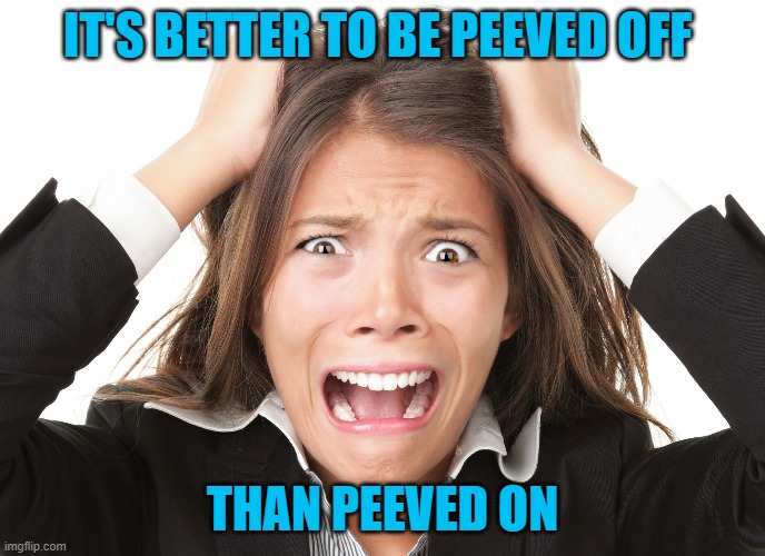 Pet Peeve | IT'S BETTER TO BE PEEVED OFF; THAN PEEVED ON | image tagged in pet peeve | made w/ Imgflip meme maker