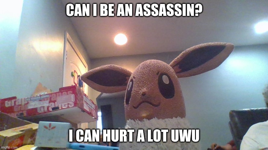 Pls uwu? | CAN I BE AN ASSASSIN? I CAN HURT A LOT UWU | image tagged in uwu,pls,the,pirate,crew | made w/ Imgflip meme maker