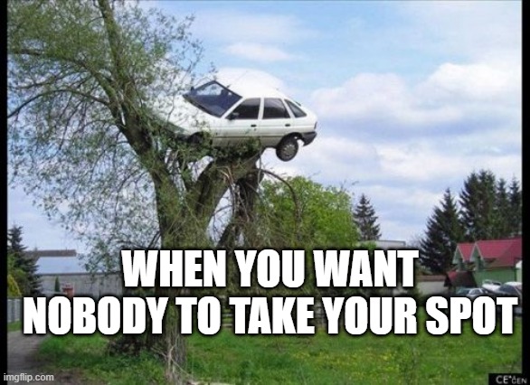 Secure Parking Meme | WHEN YOU WANT NOBODY TO TAKE YOUR SPOT | image tagged in memes,secure parking | made w/ Imgflip meme maker