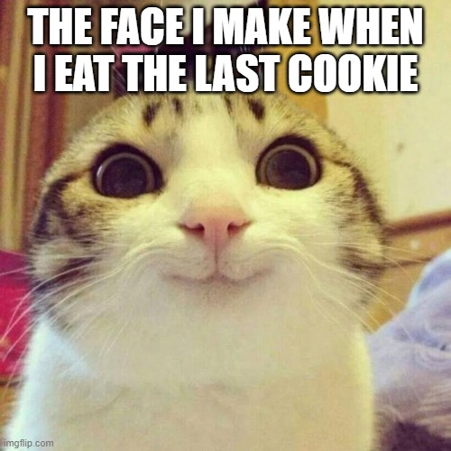 Smiling Cat Meme | THE FACE I MAKE WHEN I EAT THE LAST COOKIE | image tagged in memes,smiling cat | made w/ Imgflip meme maker