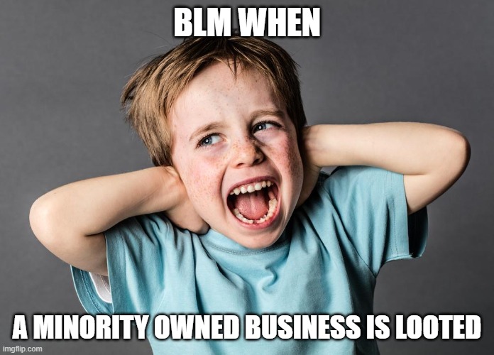 Dems | BLM WHEN; A MINORITY OWNED BUSINESS IS LOOTED | image tagged in politics | made w/ Imgflip meme maker