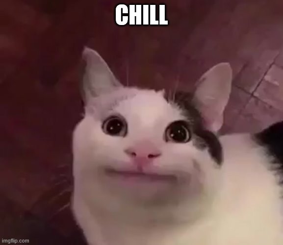 Awkward Cat | CHILL | image tagged in awkward cat | made w/ Imgflip meme maker