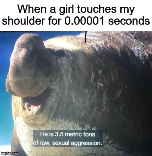MHM! | When a girl touches my shoulder for 0.00001 seconds | image tagged in memes,funny,girl,seal,touch | made w/ Imgflip meme maker