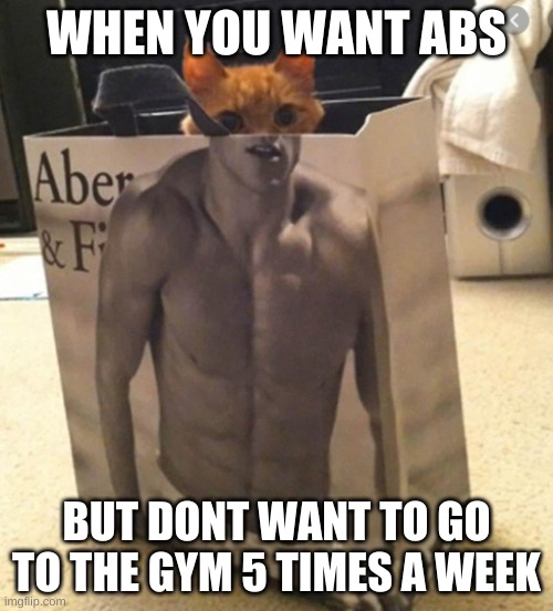 Abs | WHEN YOU WANT ABS; BUT DONT WANT TO GO TO THE GYM 5 TIMES A WEEK | image tagged in mr krabs blur meme | made w/ Imgflip meme maker