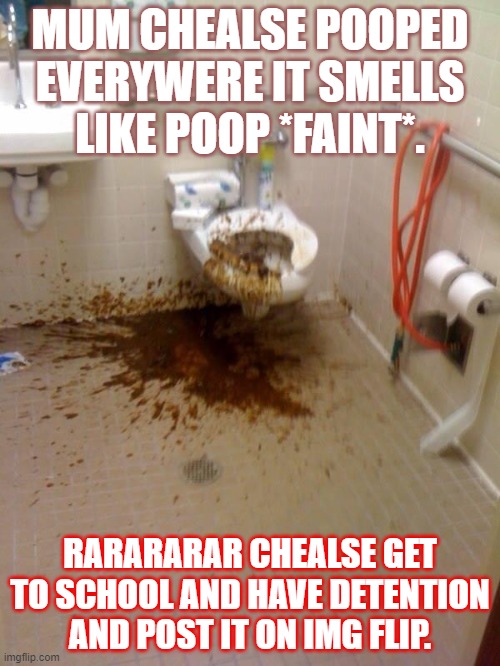 Girls poop too | MUM CHEALSE POOPED EVERYWERE IT SMELLS LIKE POOP *FAINT*. RARARARAR CHEALSE GET TO SCHOOL AND HAVE DETENTION AND POST IT ON IMG FLIP. | image tagged in girls poop too | made w/ Imgflip meme maker