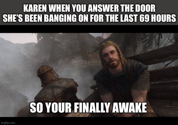 Your finally awake | KAREN WHEN YOU ANSWER THE DOOR SHE’S BEEN BANGING ON FOR THE LAST 69 HOURS; SO YOUR FINALLY AWAKE | image tagged in skyrim you're finally awake | made w/ Imgflip meme maker