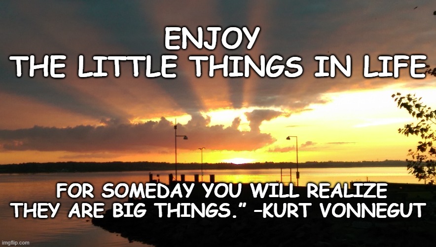 Enjoy little things | ENJOY 
THE LITTLE THINGS IN LIFE; FOR SOMEDAY YOU WILL REALIZE THEY ARE BIG THINGS.” –KURT VONNEGUT | image tagged in enjoy,life,little things,big things | made w/ Imgflip meme maker