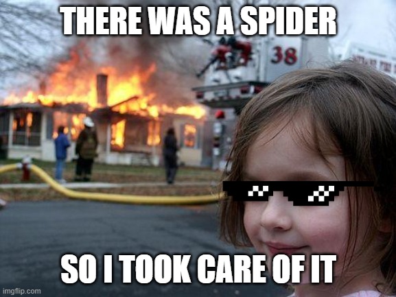 Disaster Girl | THERE WAS A SPIDER; SO I TOOK CARE OF IT | image tagged in memes,disaster girl | made w/ Imgflip meme maker