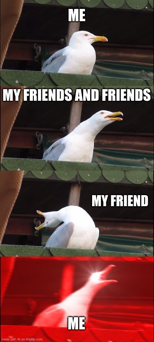 Too many friends | ME; MY FRIENDS AND FRIENDS; MY FRIEND; ME | image tagged in memes,inhaling seagull | made w/ Imgflip meme maker