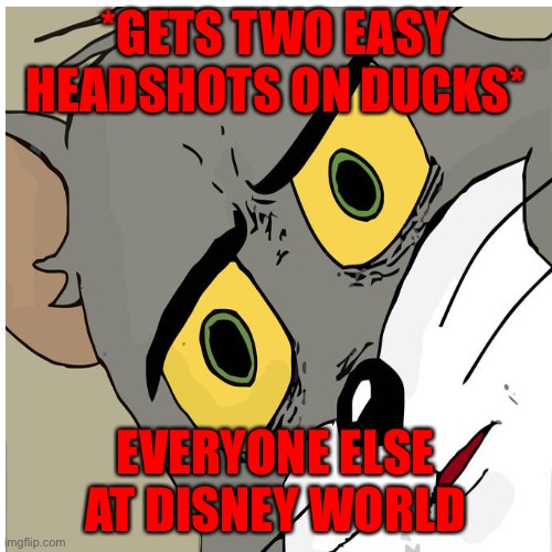 Why just why!? | *GETS TWO EASY HEADSHOTS ON DUCKS*; EVERYONE ELSE AT DISNEY WORLD | image tagged in put it somewhere else patrick | made w/ Imgflip meme maker