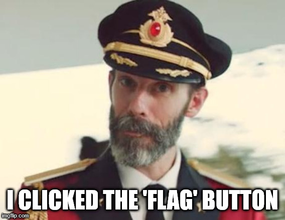 Captain Obvious | I CLICKED THE 'FLAG' BUTTON | image tagged in captain obvious | made w/ Imgflip meme maker