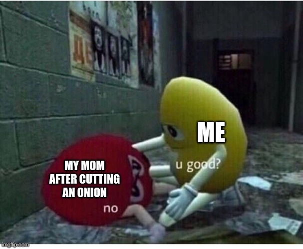 U Good No | ME; MY MOM AFTER CUTTING AN ONION | image tagged in u good no,onions,memes,oh wow are you actually reading these tags | made w/ Imgflip meme maker