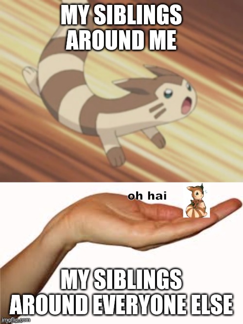 Yes | MY SIBLINGS AROUND ME; MY SIBLINGS AROUND EVERYONE ELSE | image tagged in angry furret,oh hai | made w/ Imgflip meme maker