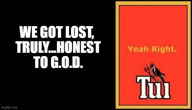 Tui | WE GOT LOST, 
TRULY...HONEST TO G.O.D. | image tagged in tui | made w/ Imgflip meme maker