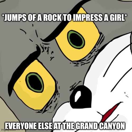My childhood out the window | *JUMPS OF A ROCK TO IMPRESS A GIRL*; EVERYONE ELSE AT THE GRAND CANYON | image tagged in wow | made w/ Imgflip meme maker