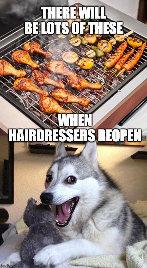 BBQ | THERE WILL BE LOTS OF THESE; WHEN HAIRDRESSERS REOPEN | image tagged in memes,bad pun dog,barbecue,covid-19 | made w/ Imgflip meme maker