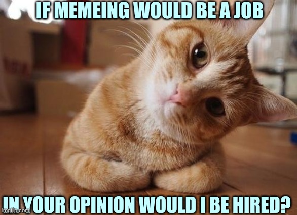I'm curious if I would be good at it or not, so give me your honest opinion please! | IF MEMEING WOULD BE A JOB; IN YOUR OPINION WOULD I BE HIRED? | image tagged in curious question cat | made w/ Imgflip meme maker