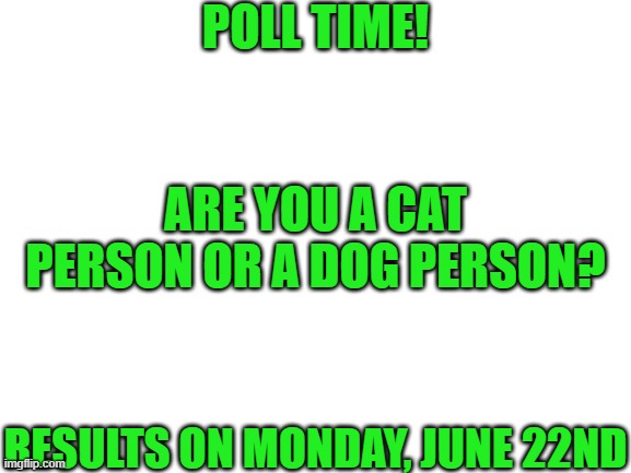 Blank White Template | POLL TIME! ARE YOU A CAT PERSON OR A DOG PERSON? RESULTS ON MONDAY, JUNE 22ND | image tagged in blank white template | made w/ Imgflip meme maker
