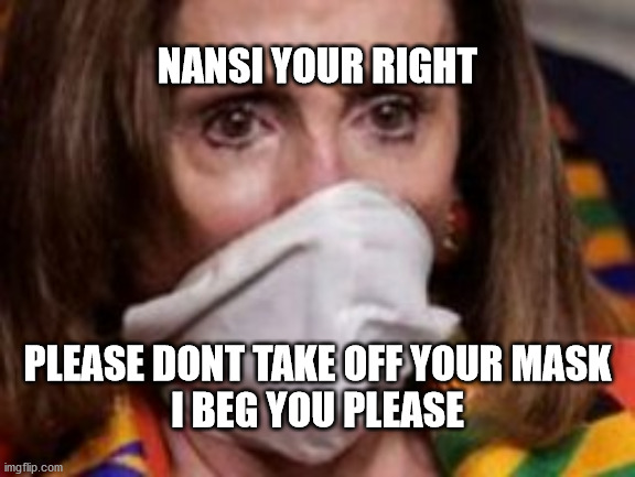 politics | NANSI YOUR RIGHT; PLEASE DONT TAKE OFF YOUR MASK
I BEG YOU PLEASE | image tagged in political humor | made w/ Imgflip meme maker