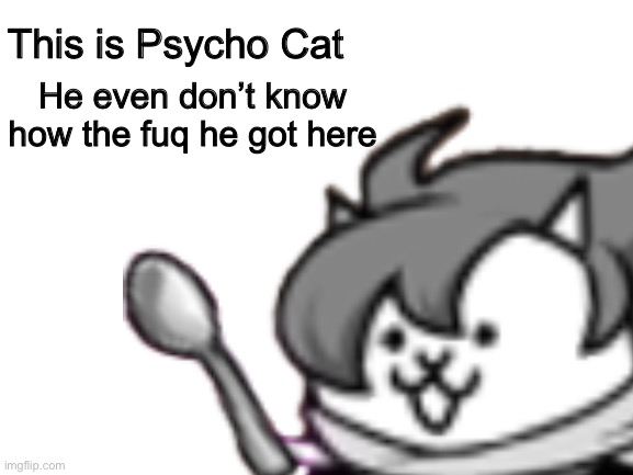 I can explain.... | This is Psycho Cat; He even don’t know how the fuq he got here | image tagged in relateable,cats,funny,get lost | made w/ Imgflip meme maker