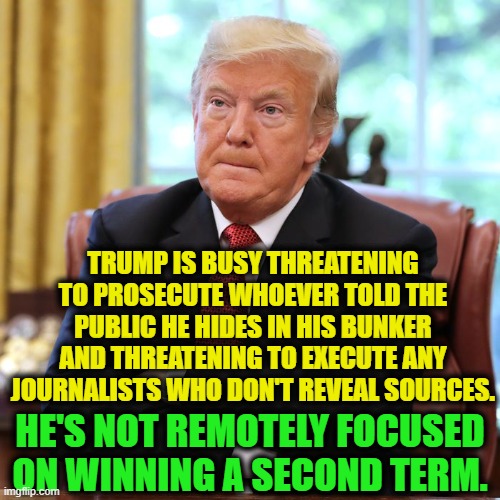 And we're cool with it. | TRUMP IS BUSY THREATENING TO PROSECUTE WHOEVER TOLD THE PUBLIC HE HIDES IN HIS BUNKER AND THREATENING TO EXECUTE ANY JOURNALISTS WHO DON'T REVEAL SOURCES. HE'S NOT REMOTELY FOCUSED ON WINNING A SECOND TERM. | image tagged in donald trump,election,journalists,death penalty,coward,moron | made w/ Imgflip meme maker