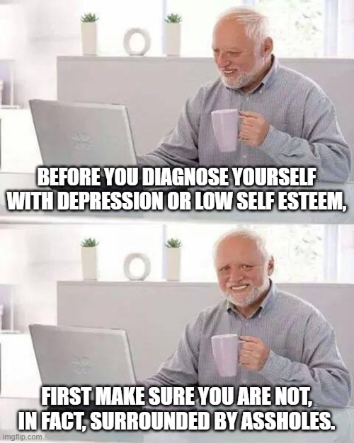 Hide the Pain Harold Meme | BEFORE YOU DIAGNOSE YOURSELF WITH DEPRESSION OR LOW SELF ESTEEM, FIRST MAKE SURE YOU ARE NOT, IN FACT, SURROUNDED BY ASSHOLES. | image tagged in memes,hide the pain harold | made w/ Imgflip meme maker