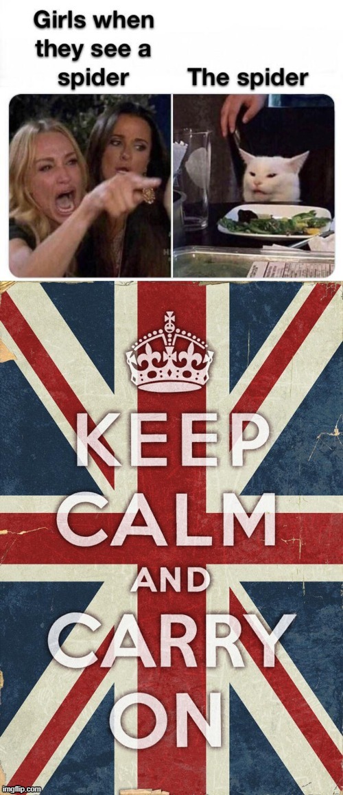 Keep Calm | image tagged in cats | made w/ Imgflip meme maker