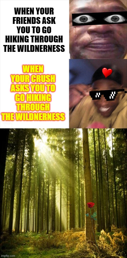 WHEN YOUR FRIENDS ASK YOU TO GO HIKING THROUGH THE WILDNERNESS; WHEN YOUR CRUSH ASKS YOU TO GO HIKING THROUGH THE WILDNERNESS | image tagged in sad happy | made w/ Imgflip meme maker