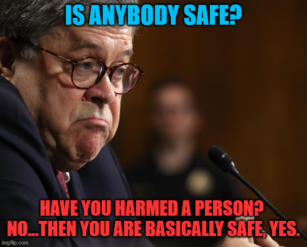 Bill Barr | IS ANYBODY SAFE? HAVE YOU HARMED A PERSON?  NO...THEN YOU ARE BASICALLY SAFE, YES. | image tagged in bill barr | made w/ Imgflip meme maker