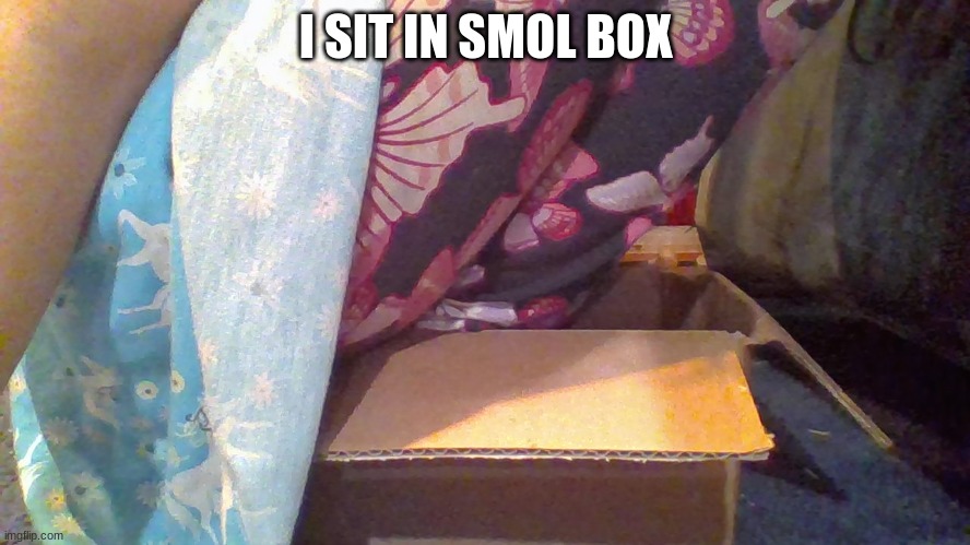 Go ahead, say i'm thicc, say i'm big, i don't care. | I SIT IN SMOL BOX | image tagged in box,me irl | made w/ Imgflip meme maker