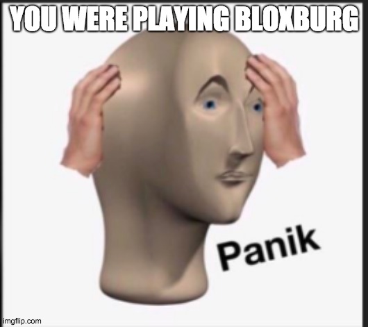 Panik | YOU WERE PLAYING BLOXBURG | image tagged in panik | made w/ Imgflip meme maker