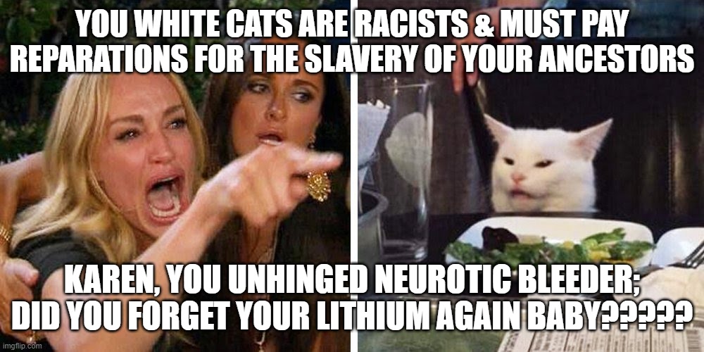 Medication Matters | YOU WHITE CATS ARE RACISTS & MUST PAY REPARATIONS FOR THE SLAVERY OF YOUR ANCESTORS; KAREN, YOU UNHINGED NEUROTIC BLEEDER; DID YOU FORGET YOUR LITHIUM AGAIN BABY????? | image tagged in smudge the cat | made w/ Imgflip meme maker
