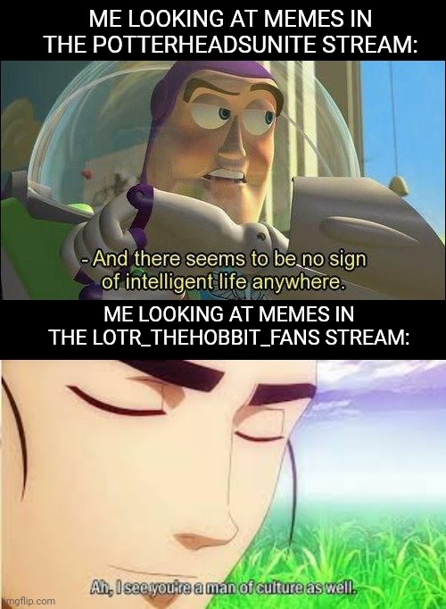 ME LOOKING AT MEMES IN THE POTTERHEADSUNITE STREAM:; ME LOOKING AT MEMES IN THE LOTR_THEHOBBIT_FANS STREAM: | image tagged in ah i see you are a man of culture as well,no sign of intelligent life,lord of the rings,harry potter | made w/ Imgflip meme maker