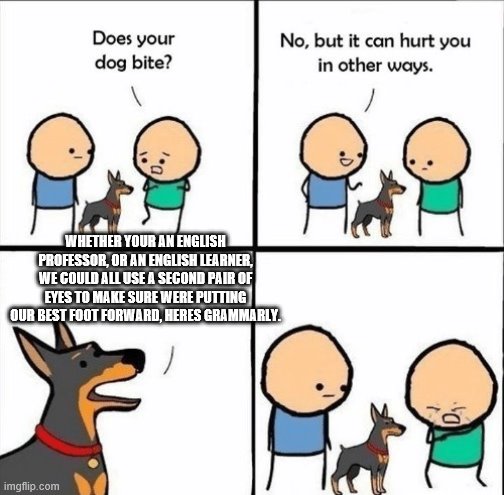 does your dog bite | WHETHER YOUR AN ENGLISH PROFESSOR, OR AN ENGLISH LEARNER, WE COULD ALL USE A SECOND PAIR OF EYES TO MAKE SURE WERE PUTTING OUR BEST FOOT FORWARD, HERES GRAMMARLY. | image tagged in does your dog bite,grammarly | made w/ Imgflip meme maker
