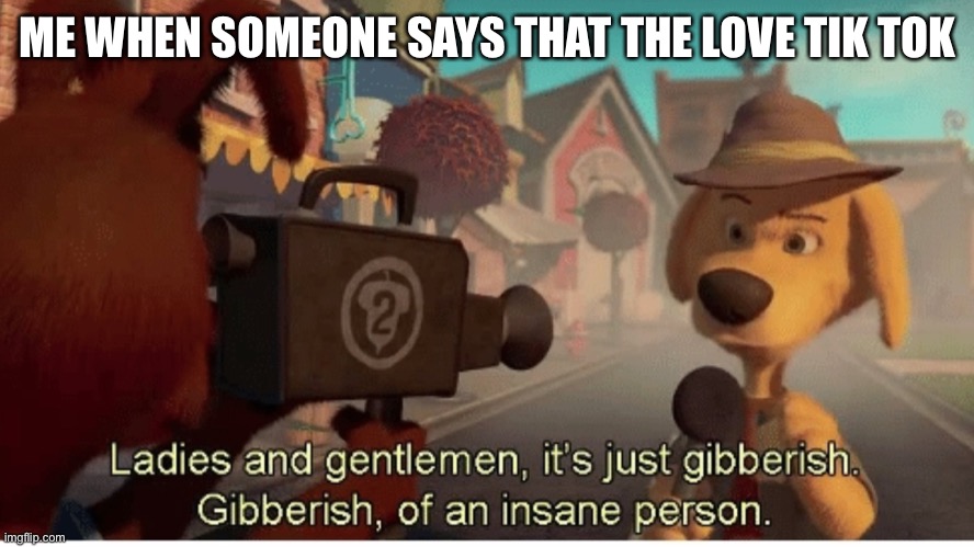 Ladies and Gentlemen its just gibberish | ME WHEN SOMEONE SAYS THAT THE LOVE TIK TOK | image tagged in ladies and gentlemen its just gibberish | made w/ Imgflip meme maker