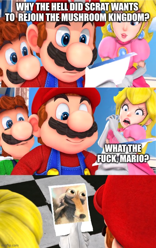 Super Mario blank paper | WHY THE HELL DID SCRAT WANTS TO  REJOIN THE MUSHROOM KINGDOM? WHAT THE FUCK, MARIO? | image tagged in super mario blank paper | made w/ Imgflip meme maker