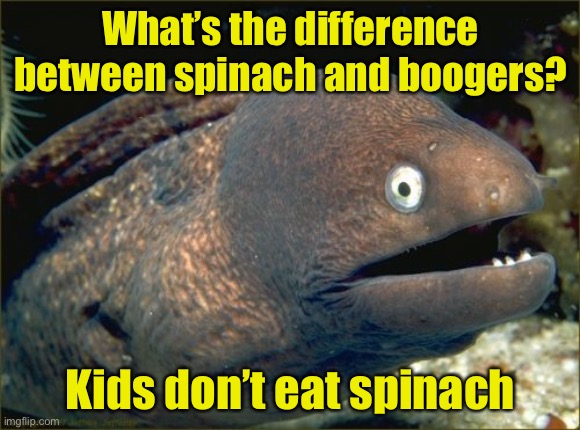 Bad Joke Eel Meme | What’s the difference between spinach and boogers? Kids don’t eat spinach | image tagged in memes,bad joke eel,boogers,kids | made w/ Imgflip meme maker