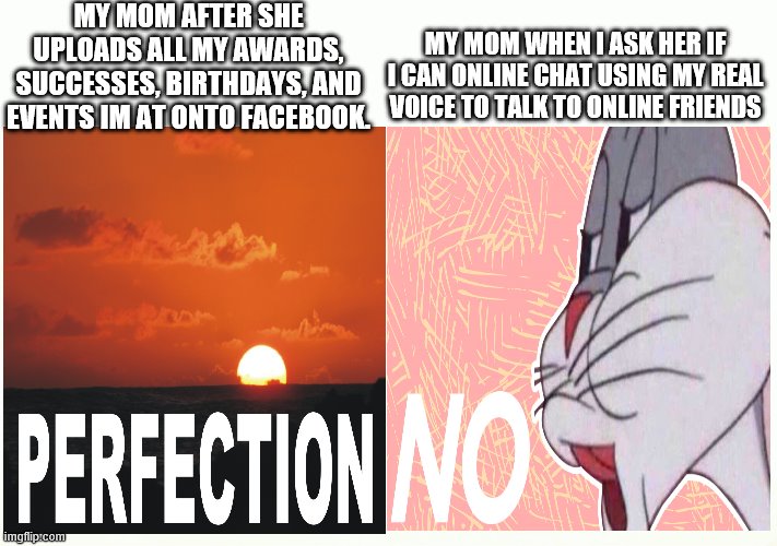 MY MOM AFTER SHE UPLOADS ALL MY AWARDS, SUCCESSES, BIRTHDAYS, AND EVENTS IM AT ONTO FACEBOOK. MY MOM WHEN I ASK HER IF I CAN ONLINE CHAT USING MY REAL VOICE TO TALK TO ONLINE FRIENDS | image tagged in blank template,gaming,perfection,no bugs bunny,online friends | made w/ Imgflip meme maker