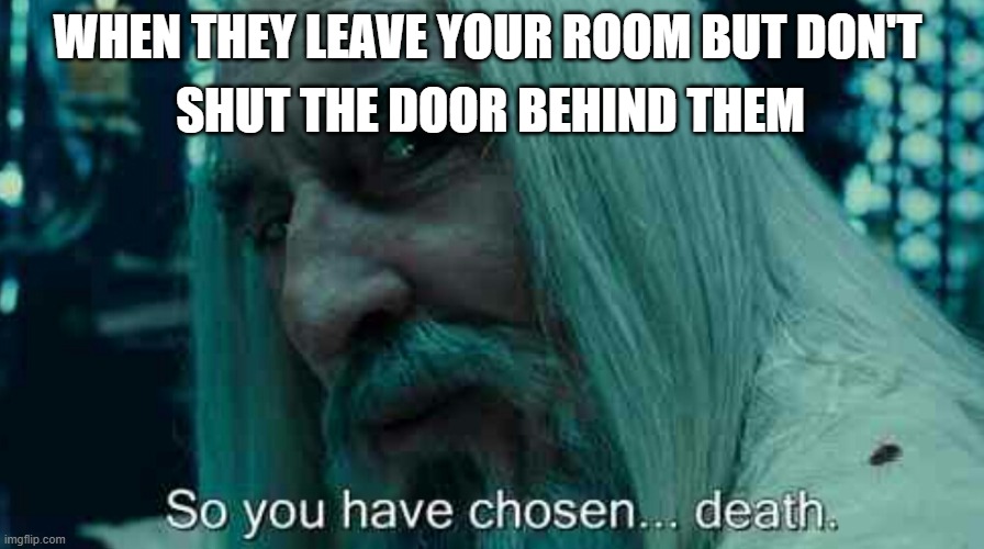 WHY, WHY DO YOU DO THIS TO ME!?!? | SHUT THE DOOR BEHIND THEM; WHEN THEY LEAVE YOUR ROOM BUT DON'T | image tagged in so you have chosen death,PewdiepieSubmissions | made w/ Imgflip meme maker