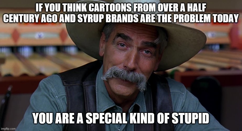 Sam Eliot | IF YOU THINK CARTOONS FROM OVER A HALF CENTURY AGO AND SYRUP BRANDS ARE THE PROBLEM TODAY; YOU ARE A SPECIAL KIND OF STUPID | image tagged in sam eliot,special kind of stupid | made w/ Imgflip meme maker