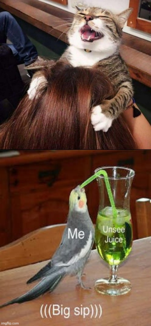 Big sip | image tagged in can't unsee | made w/ Imgflip meme maker