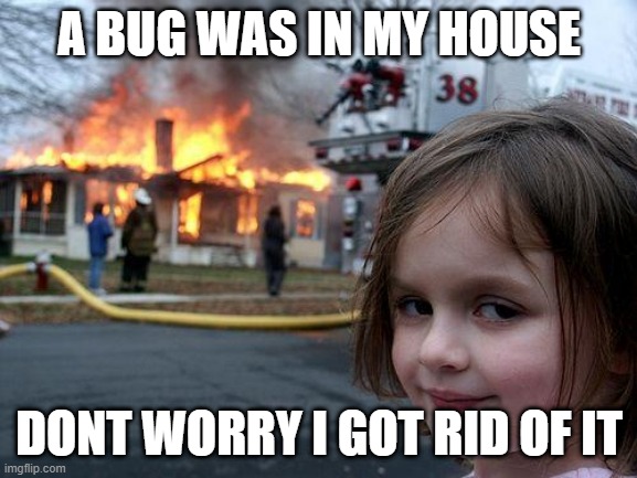 Disaster Girl Meme | A BUG WAS IN MY HOUSE; DONT WORRY I GOT RID OF IT | image tagged in memes,disaster girl,bug,fire | made w/ Imgflip meme maker
