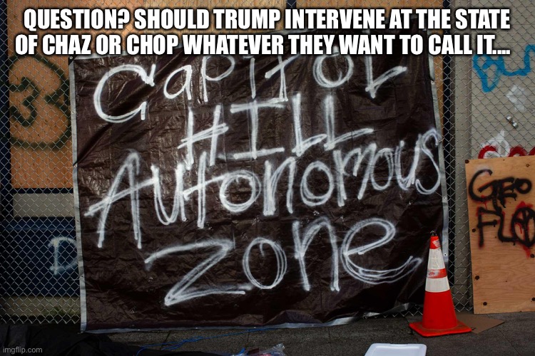 QUESTION? SHOULD TRUMP INTERVENE AT THE STATE OF CHAZ OR CHOP WHATEVER THEY WANT TO CALL IT.... | image tagged in donald trump | made w/ Imgflip meme maker